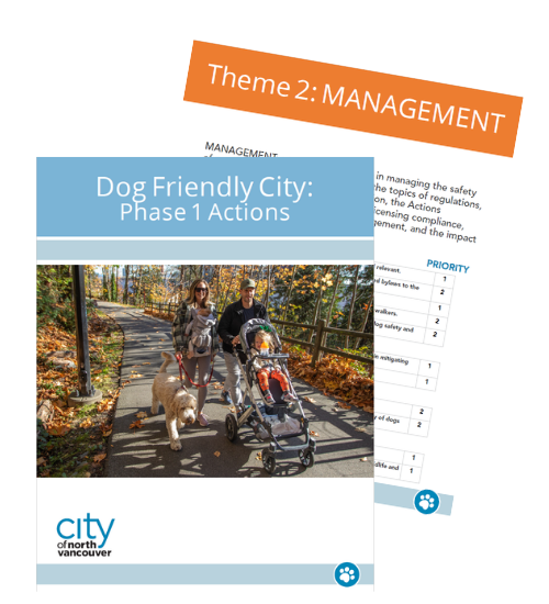Preview of Dog Friendly City Phase One Actions