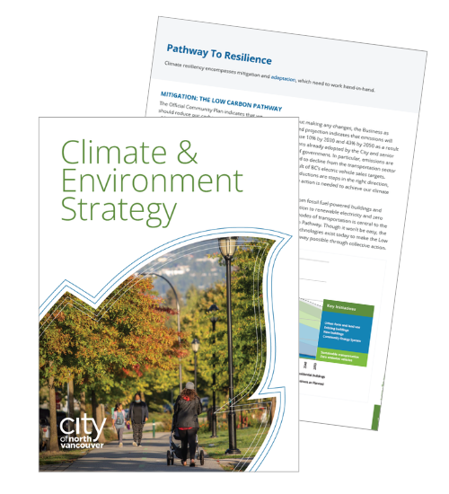 Front cover of Climate & Environment Strategy